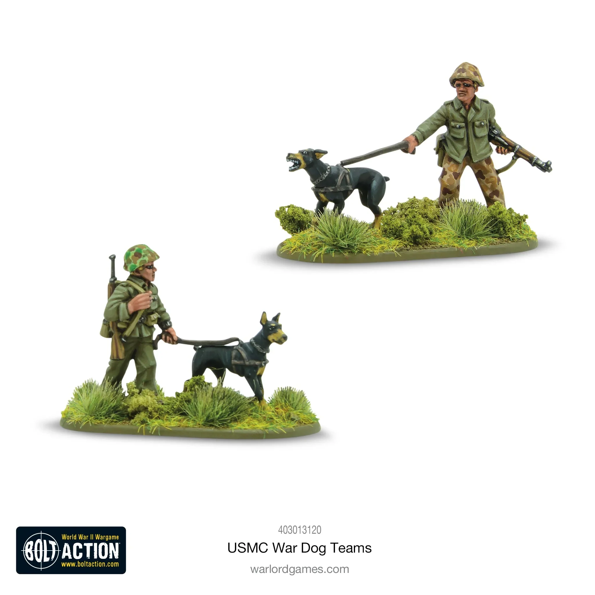 Miniatuur 1