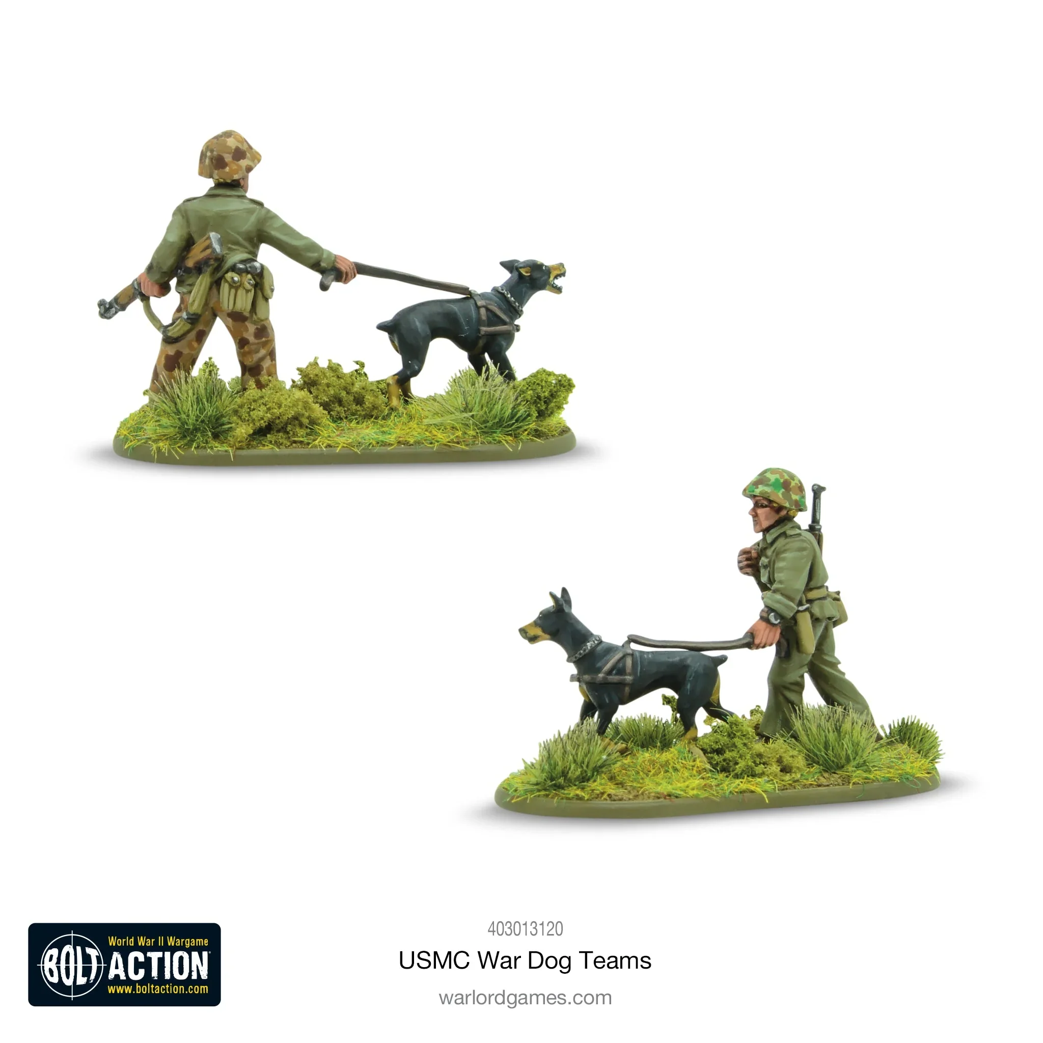 Miniatuur 2